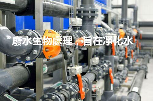 “廢水生物處理，旨在凈化水源，守護(hù)碧水藍(lán)天”